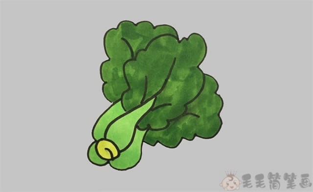 青菜简笔画图片