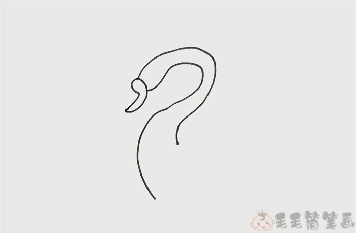 简单漂亮的天鹅儿童画画法