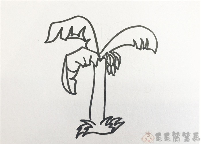 香蕉树简笔画橡胶树儿童画画
