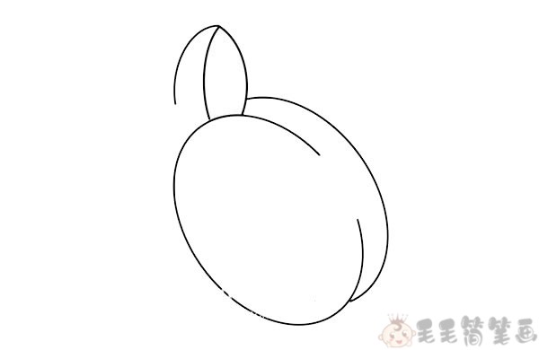 李子水果简笔画画法2