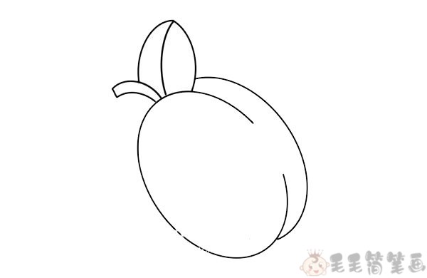 李子水果简笔画画法3