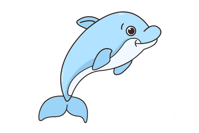 可爱的海豚怎么画图片图片