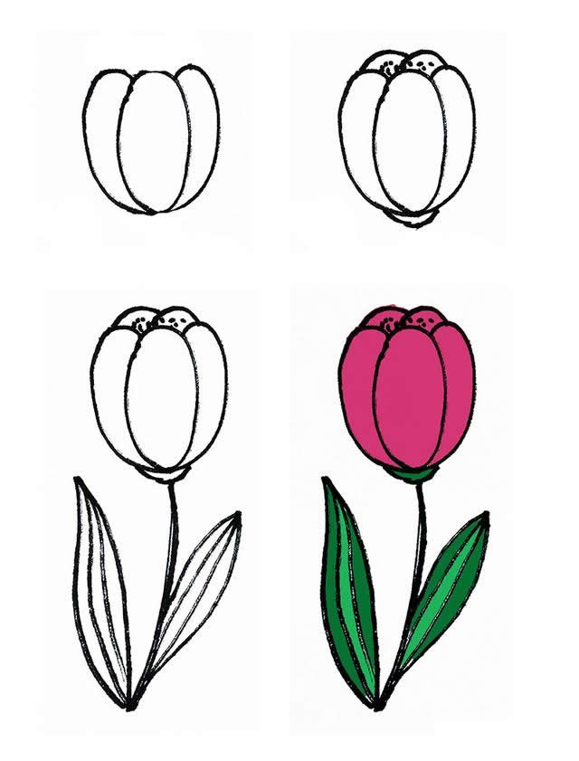 各种花朵怎么画 简单图片