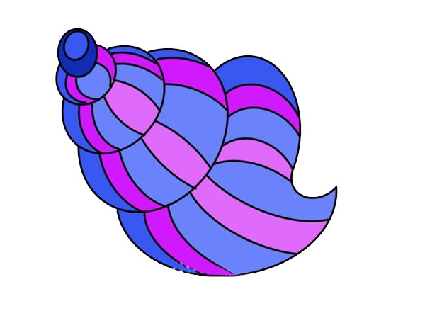 海螺彩色简笔画图片