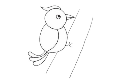 啄木鸟尾巴简笔画图片