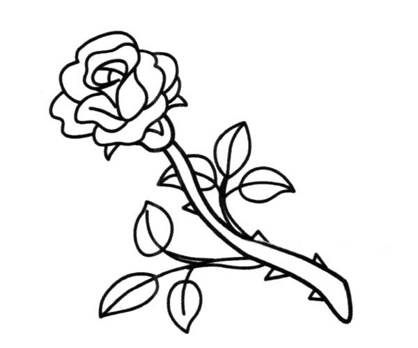 一支玫瑰花简笔画图片