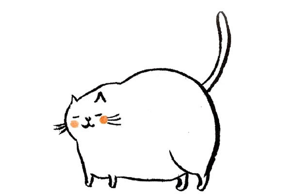胖胖的猫简笔画图片