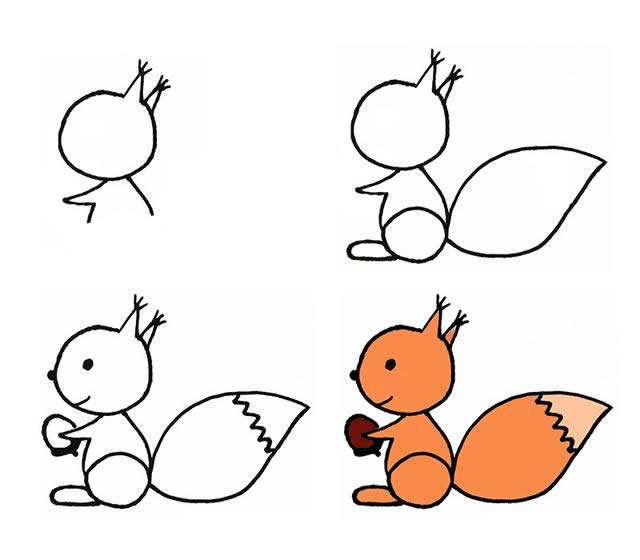 小松鼠简笔画小动物图片