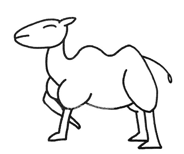 骆驼简笔画卡通图图片