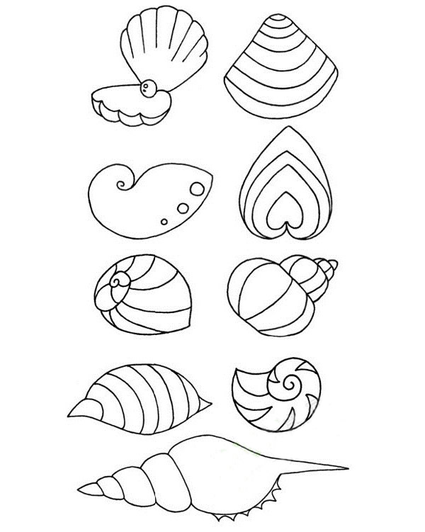 贝壳怎么画壳简笔画画法