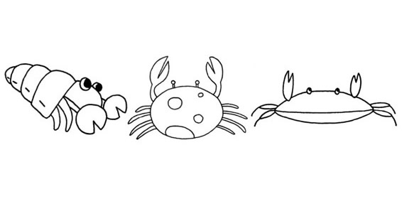 螃蟹的画法简单图片