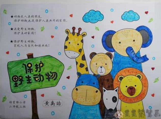 小学生保护动物宣传画图片