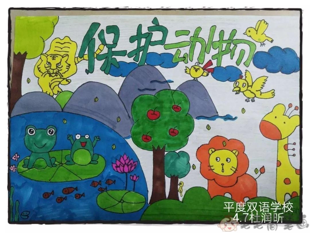 保护动物儿童绘画一等奖