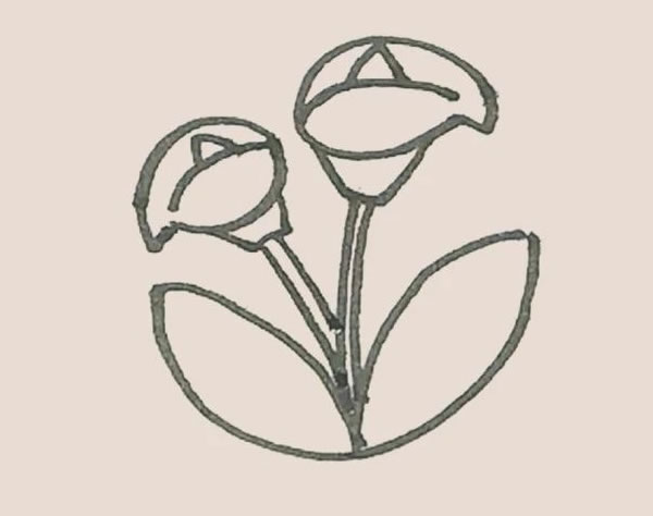 马蹄莲植物简笔画 中级简笔画教程-第6张