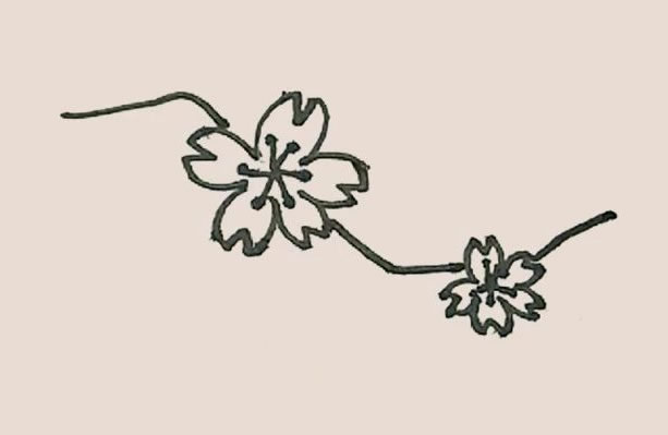 桃花简笔画的画法步骤图解教程 中级简笔画教程-第7张