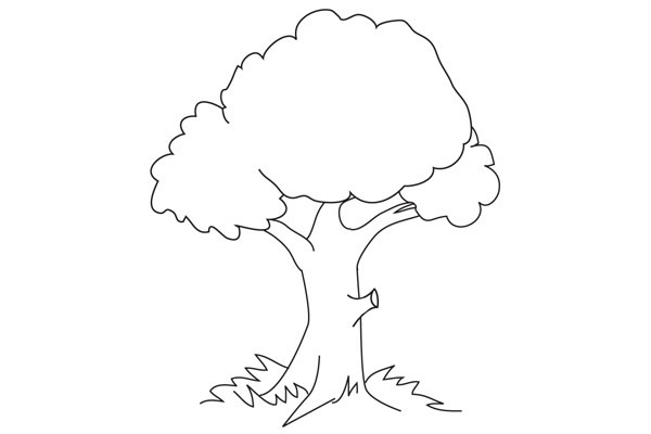 简单四步画出大树简笔画步骤图教程 植物-第1张