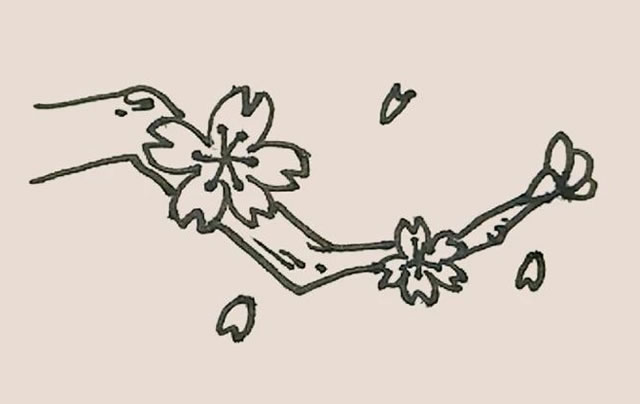 桃花简笔画的画法步骤图解教程 中级简笔画教程-第10张