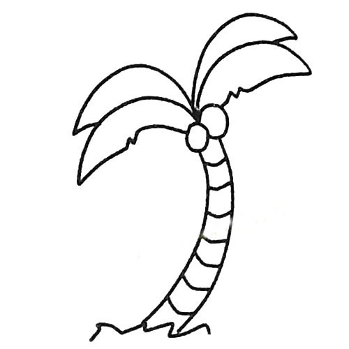 椰子树简笔画 椰子树怎么画 中级简笔画教程-第1张