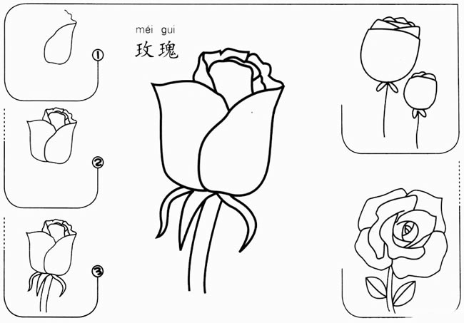 【玫瑰花画法步骤】简单的玫瑰花画法步骤简笔画步骤图 植物-第1张
