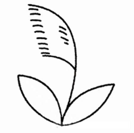 芦苇的画法 儿童简笔画芦苇画法 初级简笔画教程-第5张