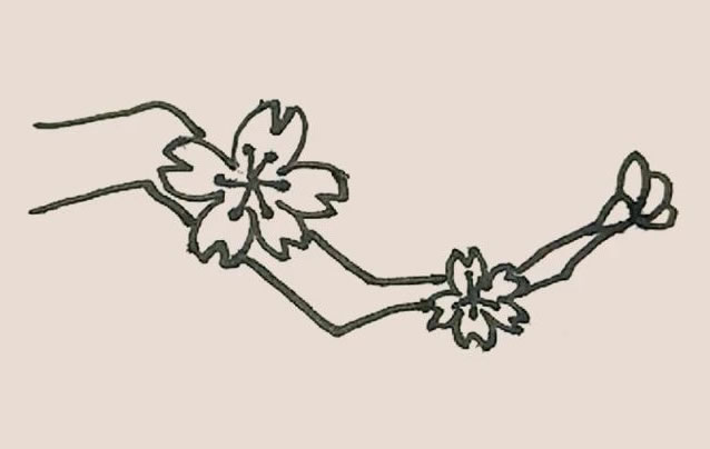 桃花简笔画的画法步骤图解教程 中级简笔画教程-第9张