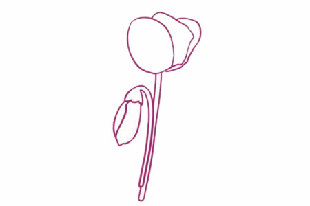 仙客来鲜花简笔画的画法 初级简笔画教程-第4张