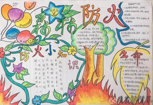 防火手抄报