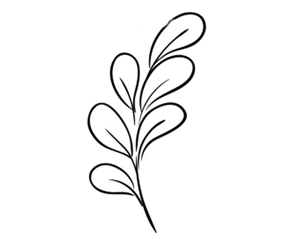 9款漂亮的叶子简笔画图画 叶子的简单画法大全 植物-第2张