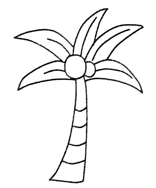 椰子树简笔画 简笔画大海椰子树 中级简笔画教程-第4张