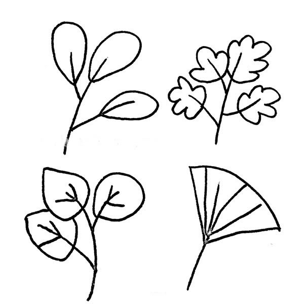 36种树叶的画法简笔画图画 中级简笔画教程-第9张
