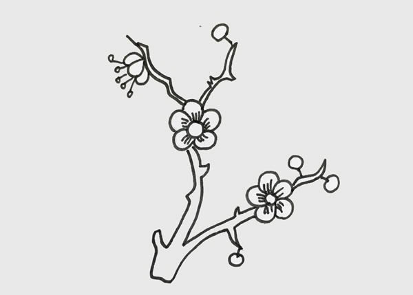 树枝上的梅花简笔画 初级简笔画教程-第4张