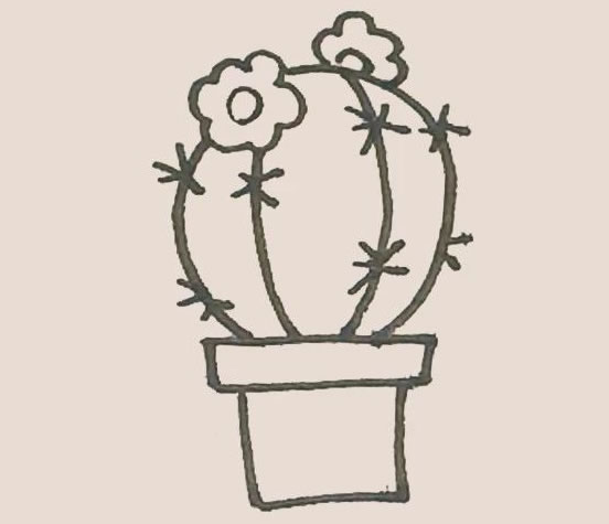 仙人球花简笔画步骤图解教程 中级简笔画教程-第8张