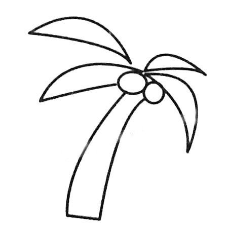 怎么画椰子树好看 简单椰子树画法 初级简笔画教程-第6张