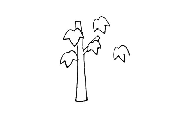 枫树简笔画,枫树的画法 中级简笔画教程-第5张