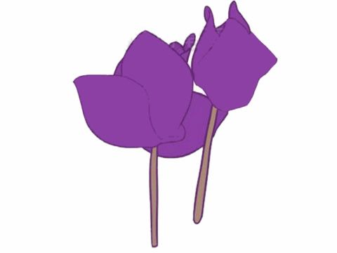仙客来鲜花简笔画的画法 初级简笔画教程-第8张
