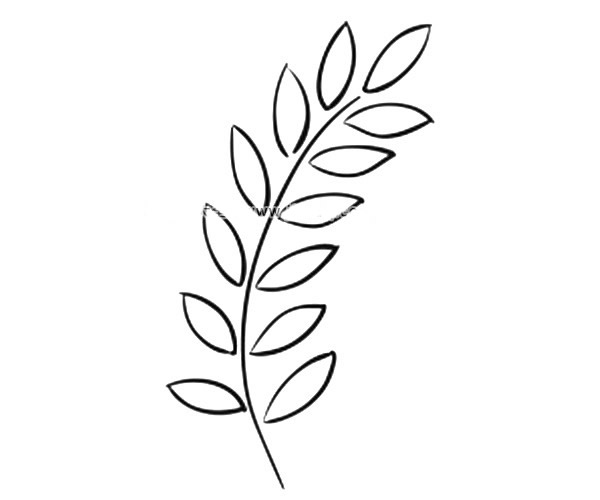 9款漂亮的叶子简笔画图画 叶子的简单画法大全 植物-第8张
