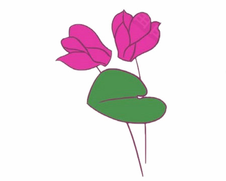 仙客来鲜花简笔画的画法 初级简笔画教程-第9张
