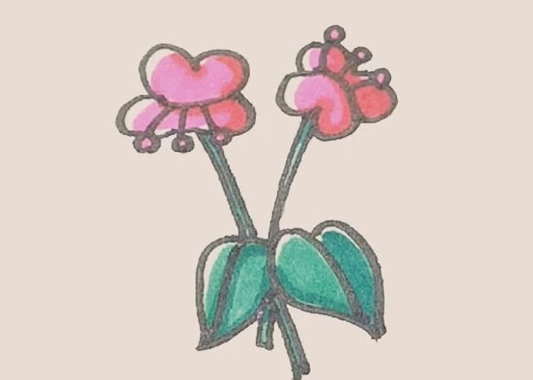 蝴蝶兰花朵简笔画的画法 中级简笔画教程-第1张