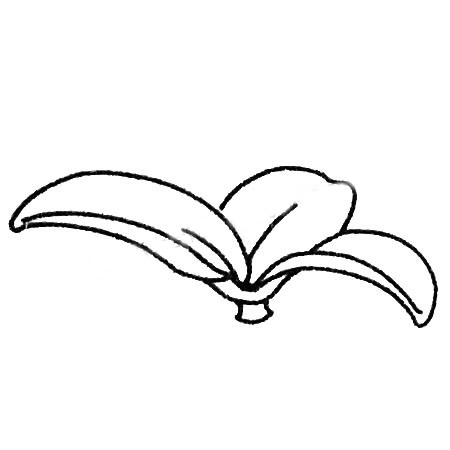 黑白色多肉植物简笔画线稿 初级简笔画教程-第7张