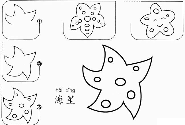 【海星简笔画】儿童海星简笔画的画法步骤图教程 植物-第1张