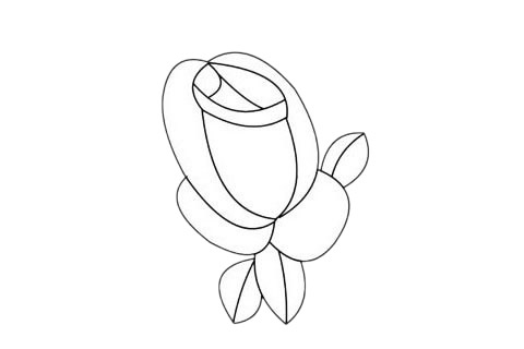 月季花简笔画画法 中级简笔画教程-第10张