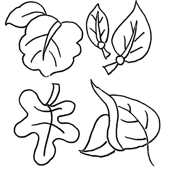 36种树叶的画法简笔画图画 中级简笔画教程-第5张