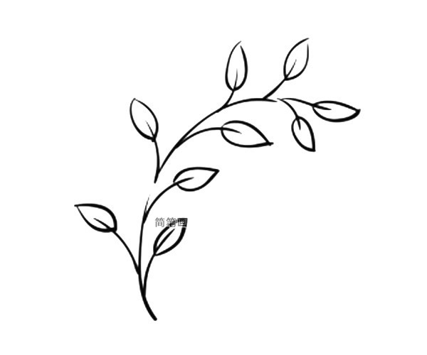 9款漂亮的叶子简笔画图画 叶子的简单画法大全 植物-第5张