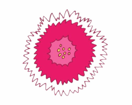 石竹花简笔画的画法 初级简笔画教程-第8张