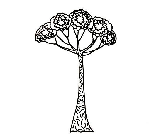 侏罗纪时代树木的画法简笔画图画 植物-第3张