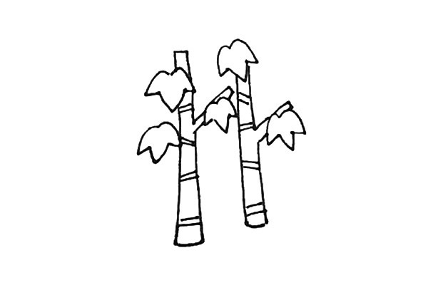 枫树简笔画,枫树的画法 中级简笔画教程-第7张