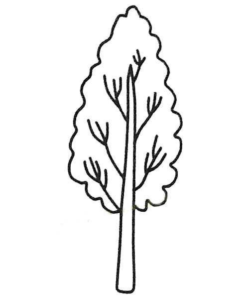 黑白色白杨树简笔画图片 植物-第1张