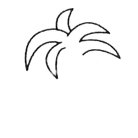 怎么画椰子树好看 简单椰子树画法 初级简笔画教程-第2张