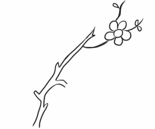 一支梅花简笔画画法步骤 中级简笔画教程-第5张