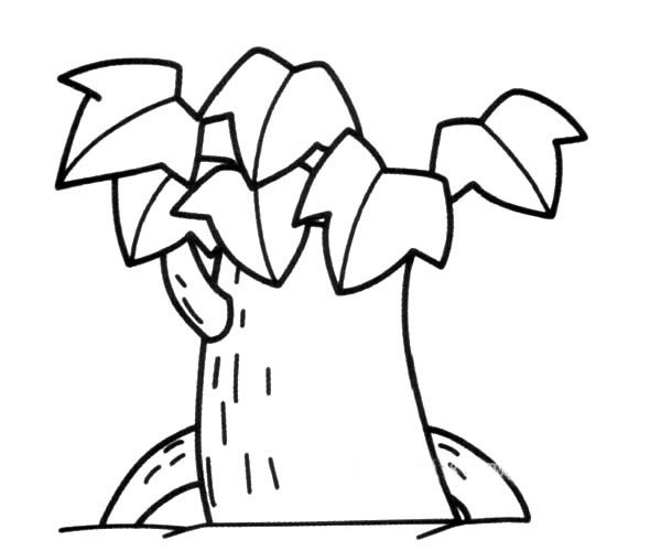 画法步骤大树 简单的大树简笔画图画 植物-第1张